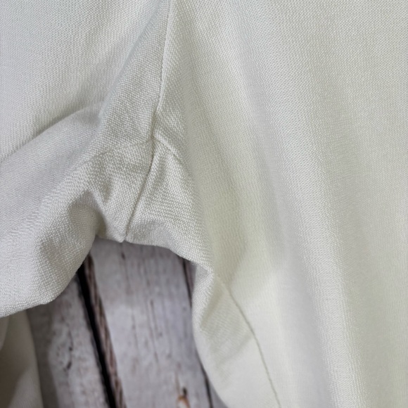 Eileen Fisher Woman Plus Size 1X Washable Stretch Crepe Pants Slim Ankle in Bone - Picture 4 of 15